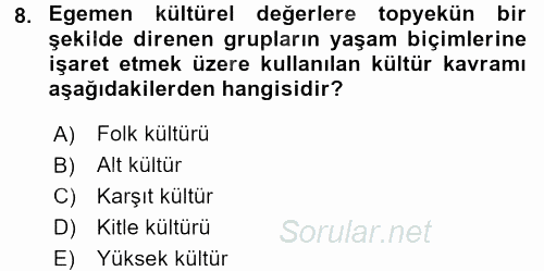 Sosyolojiye Giriş 2015 - 2016 Dönem Sonu Sınavı 8.Soru