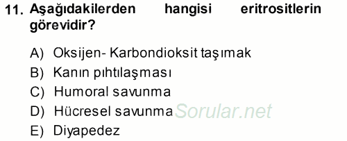 Temel Veteriner Histoloji ve Embriyoloji 2014 - 2015 Tek Ders Sınavı 11.Soru