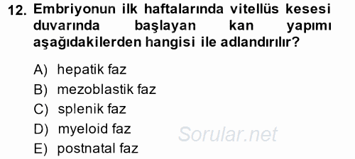 Temel Veteriner Histoloji ve Embriyoloji 2014 - 2015 Tek Ders Sınavı 12.Soru