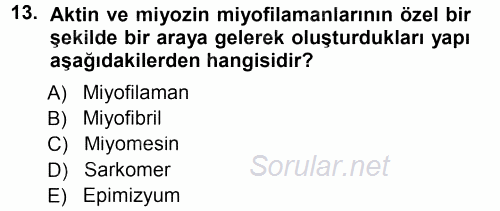 Temel Veteriner Histoloji ve Embriyoloji 2014 - 2015 Tek Ders Sınavı 13.Soru
