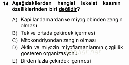 Temel Veteriner Histoloji ve Embriyoloji 2014 - 2015 Tek Ders Sınavı 14.Soru