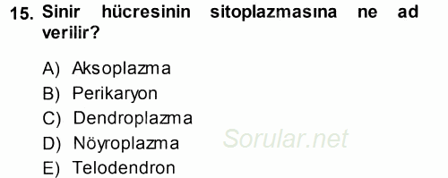 Temel Veteriner Histoloji ve Embriyoloji 2014 - 2015 Tek Ders Sınavı 15.Soru