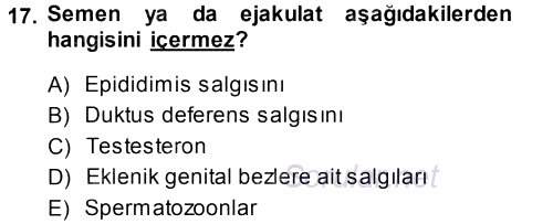 Temel Veteriner Histoloji ve Embriyoloji 2014 - 2015 Tek Ders Sınavı 17.Soru