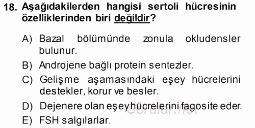 Temel Veteriner Histoloji ve Embriyoloji 2014 - 2015 Tek Ders Sınavı 18.Soru