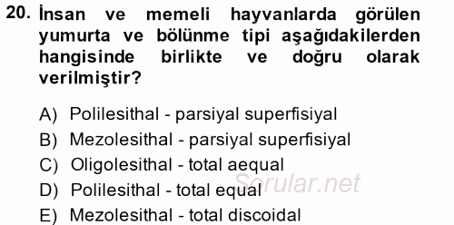 Temel Veteriner Histoloji ve Embriyoloji 2014 - 2015 Tek Ders Sınavı 20.Soru