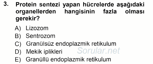 Temel Veteriner Histoloji ve Embriyoloji 2014 - 2015 Tek Ders Sınavı 3.Soru