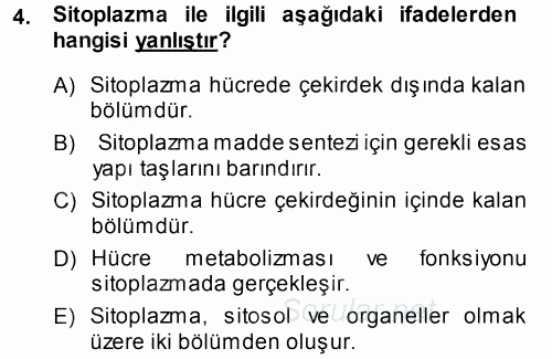 Temel Veteriner Histoloji ve Embriyoloji 2014 - 2015 Tek Ders Sınavı 4.Soru