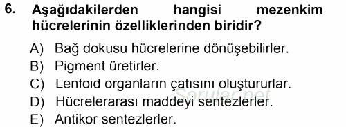 Temel Veteriner Histoloji ve Embriyoloji 2014 - 2015 Tek Ders Sınavı 6.Soru