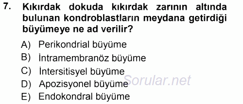 Temel Veteriner Histoloji ve Embriyoloji 2014 - 2015 Tek Ders Sınavı 7.Soru