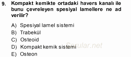 Temel Veteriner Histoloji ve Embriyoloji 2014 - 2015 Tek Ders Sınavı 9.Soru