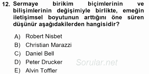 Toplumsal Tabakalaşma ve Eşitsizlik 2015 - 2016 Tek Ders Sınavı 12.Soru