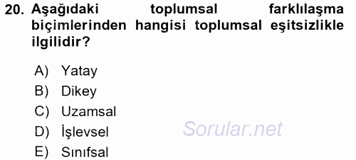 Toplumsal Tabakalaşma ve Eşitsizlik 2015 - 2016 Tek Ders Sınavı 20.Soru