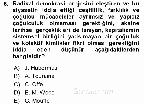 Toplumsal Tabakalaşma ve Eşitsizlik 2015 - 2016 Tek Ders Sınavı 6.Soru