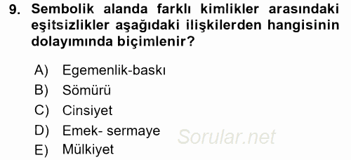Toplumsal Tabakalaşma ve Eşitsizlik 2015 - 2016 Tek Ders Sınavı 9.Soru