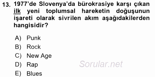 Sosyolojide Yakın Dönem Gelişmeler 2015 - 2016 Dönem Sonu Sınavı 13.Soru