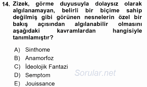 Sosyolojide Yakın Dönem Gelişmeler 2015 - 2016 Dönem Sonu Sınavı 14.Soru