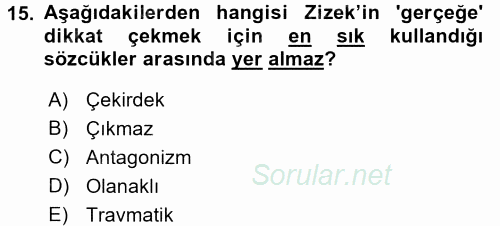 Sosyolojide Yakın Dönem Gelişmeler 2015 - 2016 Dönem Sonu Sınavı 15.Soru