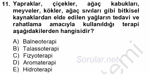 Termal ve Spa Hizmetleri 2012 - 2013 Dönem Sonu Sınavı 11.Soru