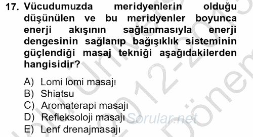 Termal ve Spa Hizmetleri 2012 - 2013 Dönem Sonu Sınavı 17.Soru