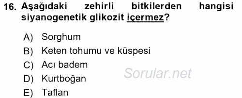 Temel Veteriner Farmakoloji ve Toksikoloji 2017 - 2018 3 Ders Sınavı 16.Soru