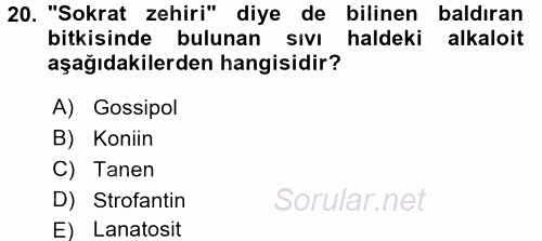 Temel Veteriner Farmakoloji ve Toksikoloji 2017 - 2018 3 Ders Sınavı 20.Soru