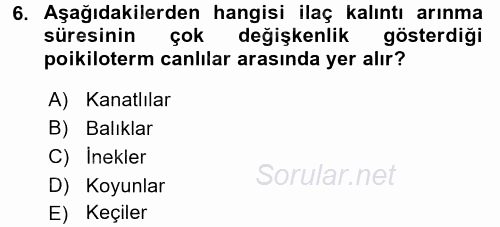 Temel Veteriner Farmakoloji ve Toksikoloji 2017 - 2018 3 Ders Sınavı 6.Soru