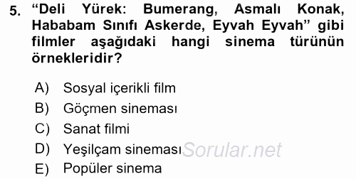 Film ve Video Kültürü 2017 - 2018 3 Ders Sınavı 5.Soru