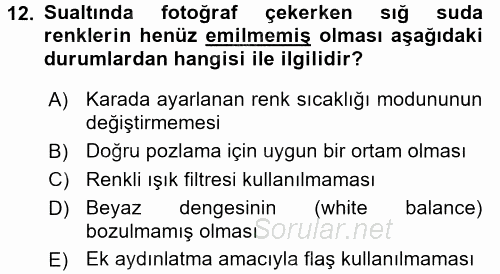 Fotoğrafın Kullanım Alanları 2016 - 2017 Ara Sınavı 12.Soru