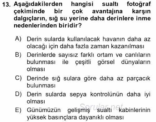 Fotoğrafın Kullanım Alanları 2016 - 2017 Ara Sınavı 13.Soru