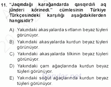 Çağdaş Türk Yazı Dilleri 2 2013 - 2014 Dönem Sonu Sınavı 11.Soru