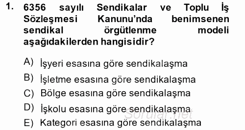 Toplu İş Hukuku 2014 - 2015 Dönem Sonu Sınavı 1.Soru