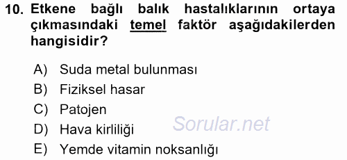 Balık Yetiştiriciliği 2015 - 2016 Dönem Sonu Sınavı 10.Soru