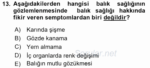 Balık Yetiştiriciliği 2015 - 2016 Dönem Sonu Sınavı 13.Soru