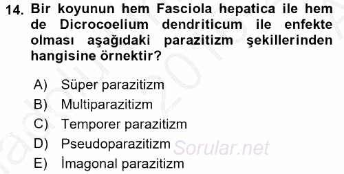 Temel Veteriner Parazitoloji 2016 - 2017 Ara Sınavı 14.Soru