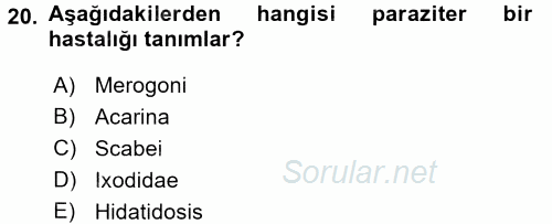 Temel Veteriner Parazitoloji 2016 - 2017 Ara Sınavı 20.Soru