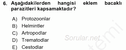 Temel Veteriner Parazitoloji 2016 - 2017 Ara Sınavı 6.Soru