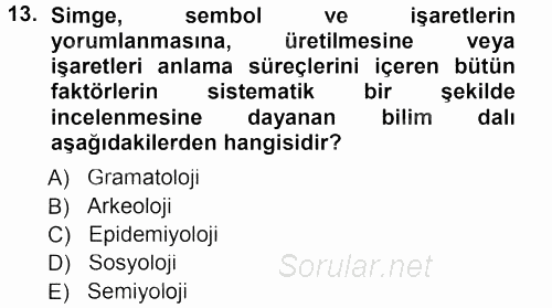 Çağdaş Sosyoloji Kuramları 2013 - 2014 Tek Ders Sınavı 13.Soru