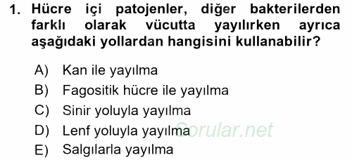 Veteriner Mikrobiyoloji ve Epidemiyoloji 2016 - 2017 Dönem Sonu Sınavı 1.Soru