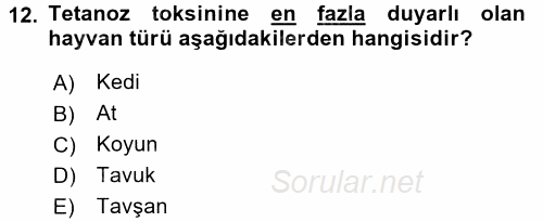 Veteriner Mikrobiyoloji ve Epidemiyoloji 2016 - 2017 Dönem Sonu Sınavı 12.Soru