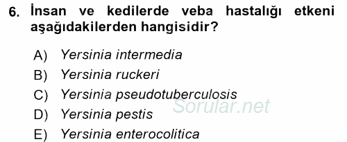 Veteriner Mikrobiyoloji ve Epidemiyoloji 2016 - 2017 Dönem Sonu Sınavı 6.Soru