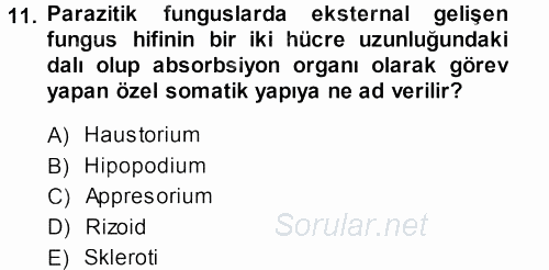 Fitopatoloji 2013 - 2014 Tek Ders Sınavı 11.Soru