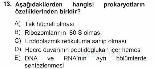 Fitopatoloji 2013 - 2014 Tek Ders Sınavı 13.Soru