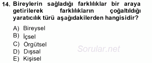 Girişimcilik 2012 - 2013 Ara Sınavı 14.Soru