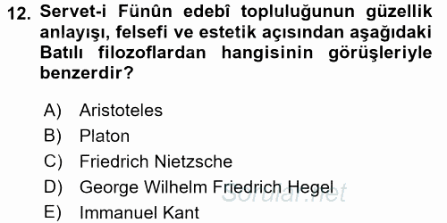 Eleştiri Tarihi 2016 - 2017 3 Ders Sınavı 12.Soru