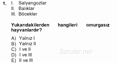 Okulöncesinde Fen Eğitimi 2014 - 2015 Ara Sınavı 1.Soru