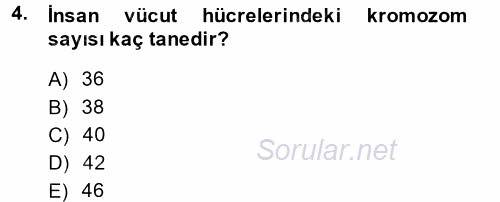 Okulöncesinde Fen Eğitimi 2014 - 2015 Ara Sınavı 4.Soru