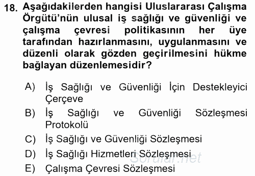 İş Sağlığı ve Güvenliği 2016 - 2017 Dönem Sonu Sınavı 18.Soru