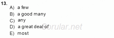 Pedagojik Gramer 1 2013 - 2014 Ara Sınavı 13.Soru