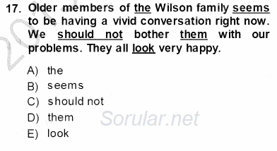 Pedagojik Gramer 1 2013 - 2014 Ara Sınavı 17.Soru