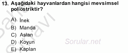 Doğum Bilgisi ve Suni Tohumlama 2014 - 2015 Ara Sınavı 13.Soru